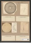 Arachnodiscus ornatus Ehr. (de-Toni-Nr.: Genus 204, Species 5209) Zeichnungen Sammlung Grunow Nr. 8993 (NHMW-BOT-W0378693)